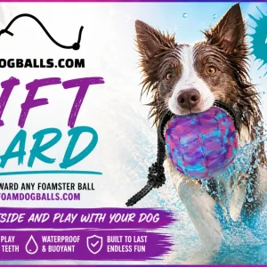 Foam Dog Ball Gift Card