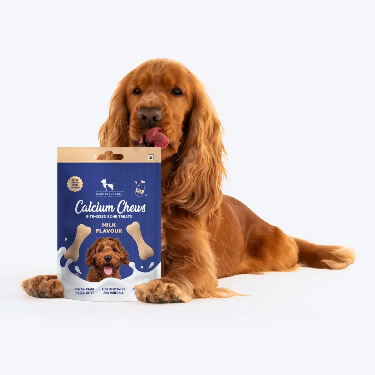 HUFT Calcium Chews Bite-Sized Bone Treats for Dogs - Milk Flavour | Dog Snacks & Training Treats for Puppies & Adult Dogs | Ideal for Shih Tzu Puppies, Small Dogs, and Puppy Training | 200gm - Bild 5