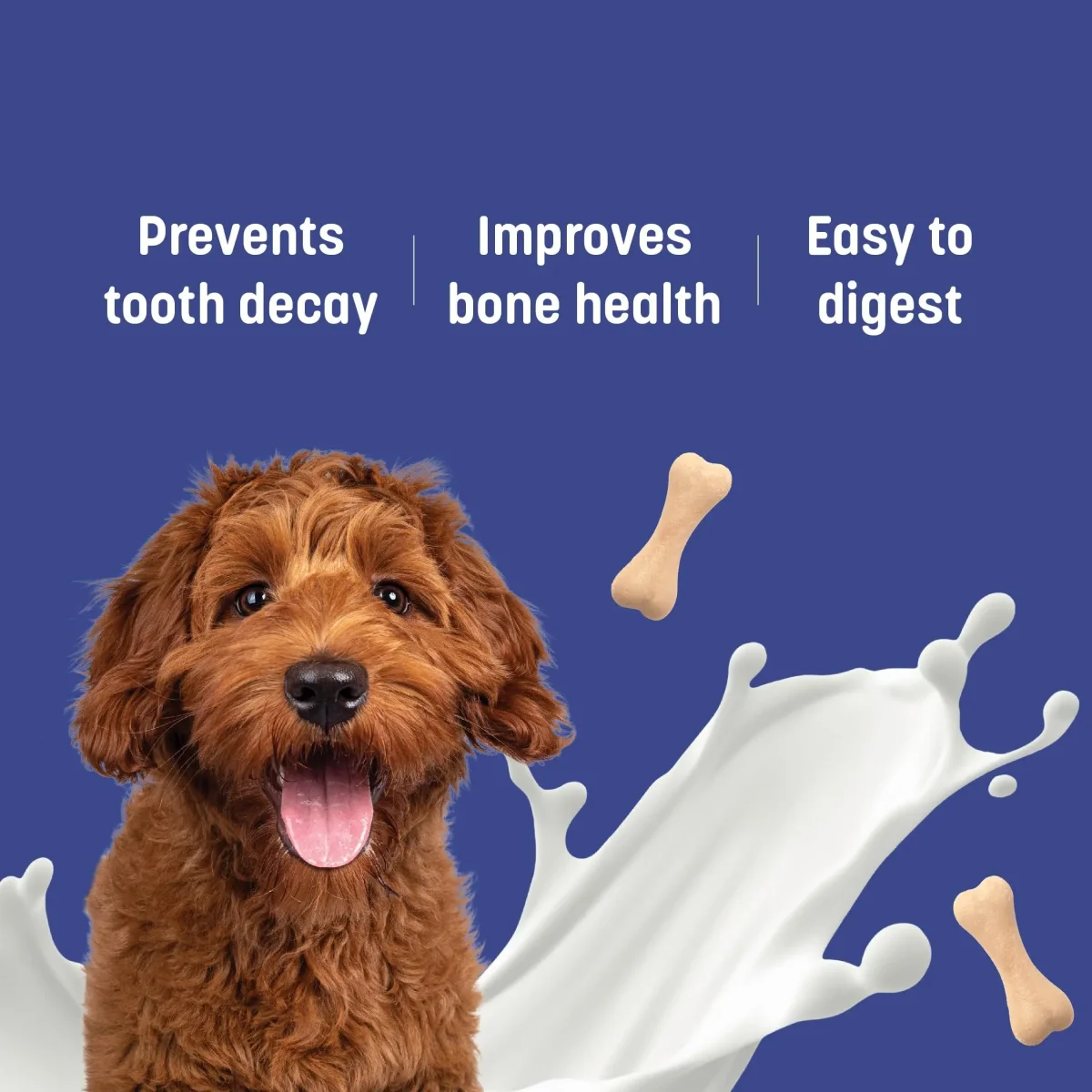 HUFT Calcium Chews Bite-Sized Bone Treats for Dogs - Milk Flavour | Dog Snacks & Training Treats for Puppies & Adult Dogs | Ideal for Shih Tzu Puppies, Small Dogs, and Puppy Training | 200gm - Bild 7