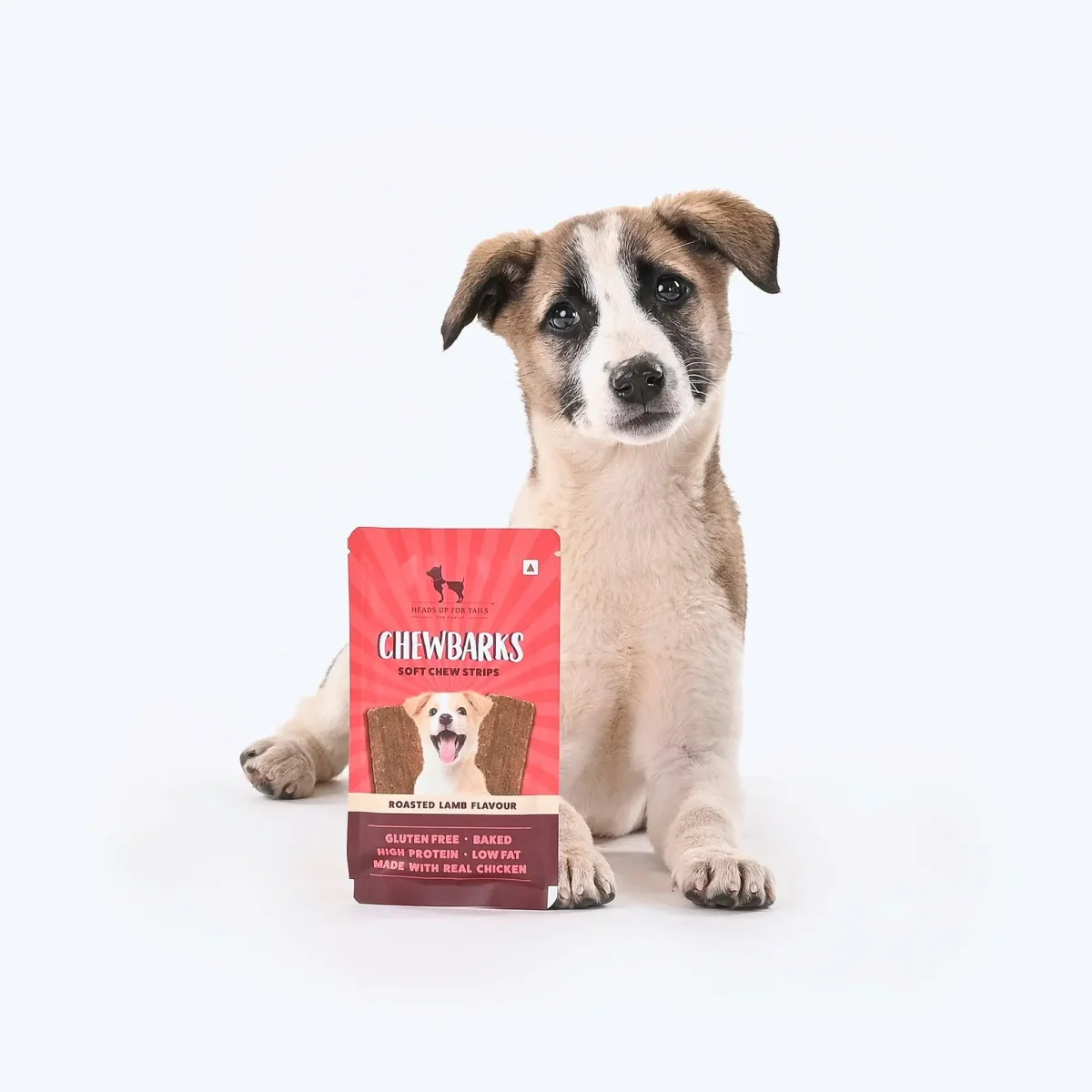 HUFT Chewbarks Roasted Lamb Soft Chew Strips Treat for Dogs | Soft & Tasty Dog Snacks for Puppies, Small Dogs & Adult Dogs | Perfect Treats for Training & Rewards - 30 gm | Packs of 3 - Bild 5