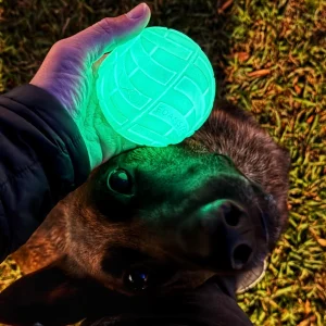 Foamster Glow Ball