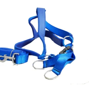 Jacky Treats Dog Body Belt Set 1 inch (Colour May Vary)