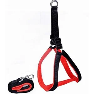 Jacky Treats Soft Padded Body Set-Leash & Harness- 0.75 - Black - Small