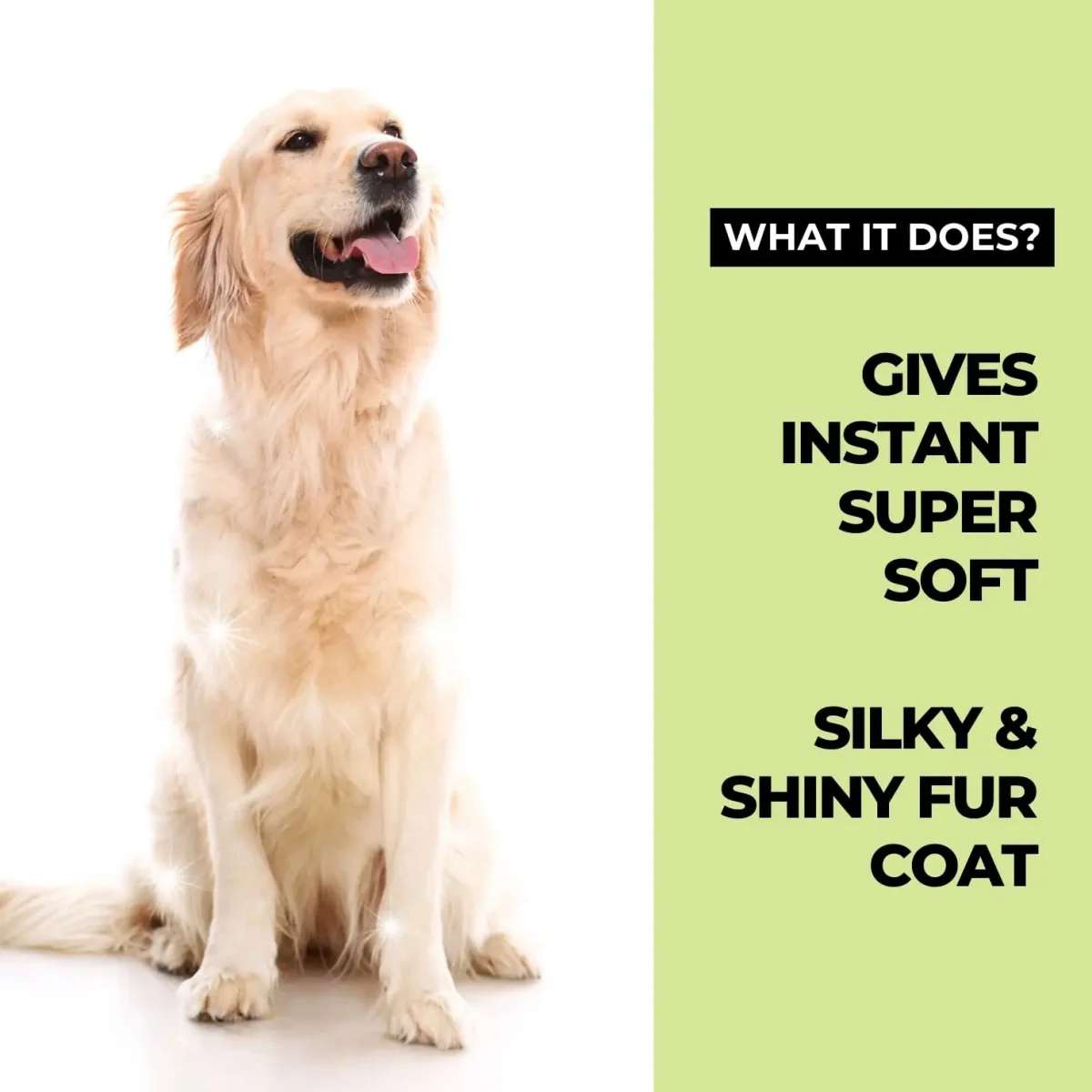 Moe Puppy 2-in-1 Dog Shampoo & Conditioner | Deshedding & Detangling for Long or Double Coat | Aloe Vera & Avocado Oil | Remove Odor & Dirt | Long-Lasting Freshness, pH Balanced, Paraben-Free(300 ml) - Bild 9