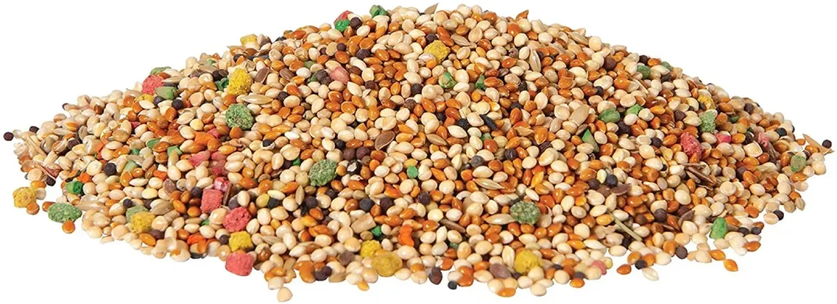 OXERA Premium Budgies Food 1KG - Bild 3