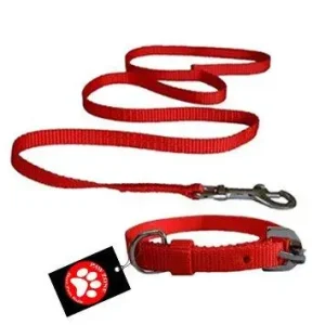 Pawzone Nylon Red Leash With Collar Set For Puppy