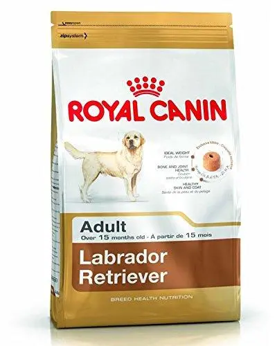 Royal Canin Labrador Retriver Adult Breed Health Nutrition, 3 Kg - Bild 2