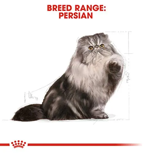 Royal Canin Persian Chicken Pellet, house-cats, Adult 40, 2 kg - Bild 6
