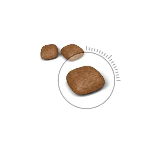 Royal Canin Urinary Care for Adult Cats, 400 Grams, Dry Food, Helps Maintain Urinary Tract Health, Proven Results in 10 Days - Bild 8
