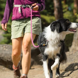 Knot-a-Leash Rope Dog Leash from Ruffwear