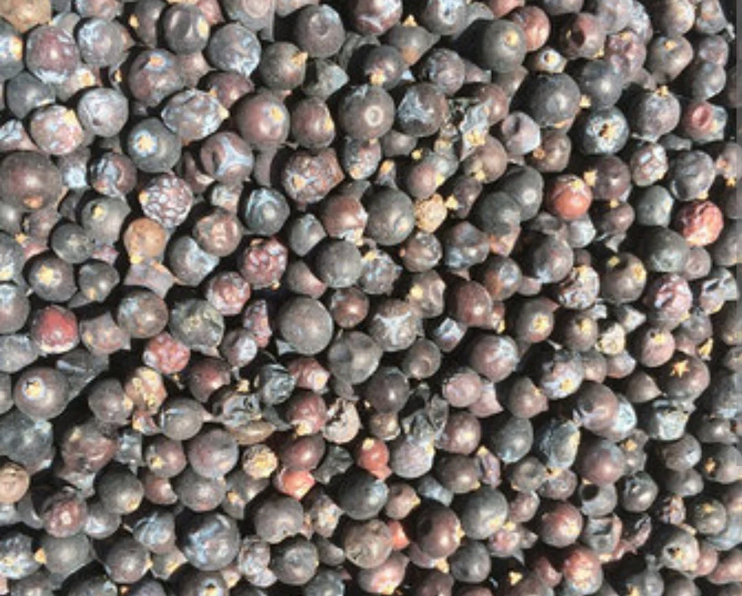 Dried juniper berries 250 grams - Bild 2