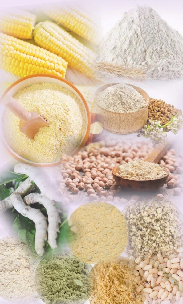 Eggfood Deluxe 100 grams (trial package.) 21% Proteins (+ Dandelion, Brewer's Yeast, Silkworms...) - Bild 7