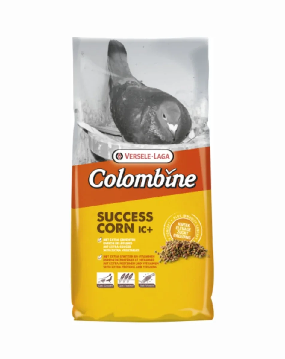 Colombine Success Corn IC+ 3kg - Pigeon food - Versele Laga - Bild 4