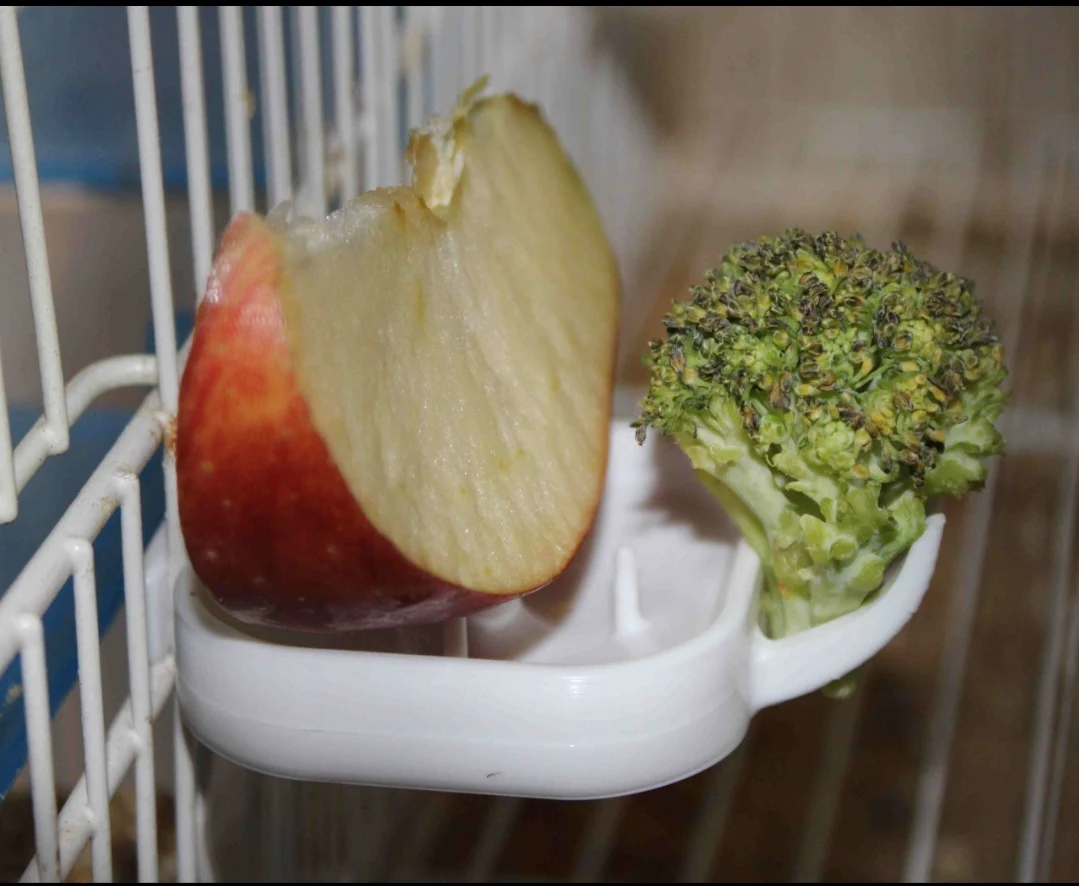 Floren Fruit Bowl Holder - Moldes Ave - Bild 5