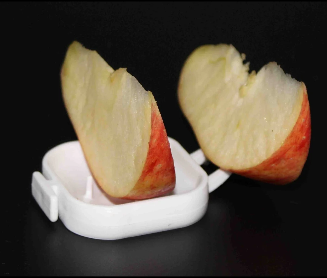 Floren Fruit Bowl Holder "GREEN" - Moldes Ave - Bild 5