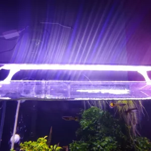 Coco Aquarium Clip On Top WRGB LED Light For Plant Growth and Colourful Fish