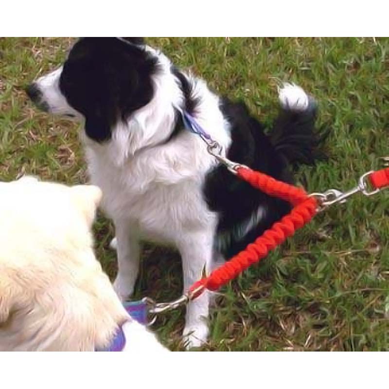 Bungee Leash Coupler - Bild 3