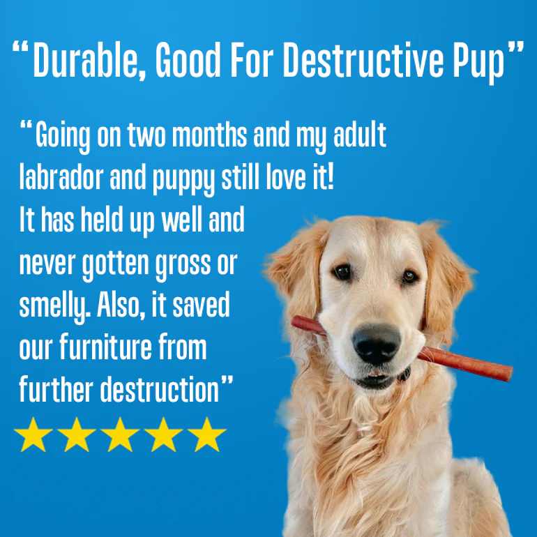 BULK Bully Sticks For Large Dogs - Free Range, All Natural - Bild 7