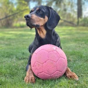 Jolly Soccer Ball fotboll till hund