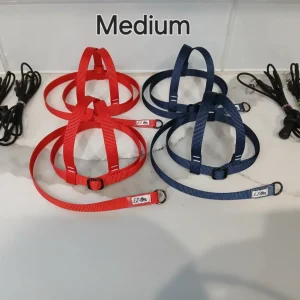 EZ-On Harness & Leash - MEDIUM (425g - 600g)
