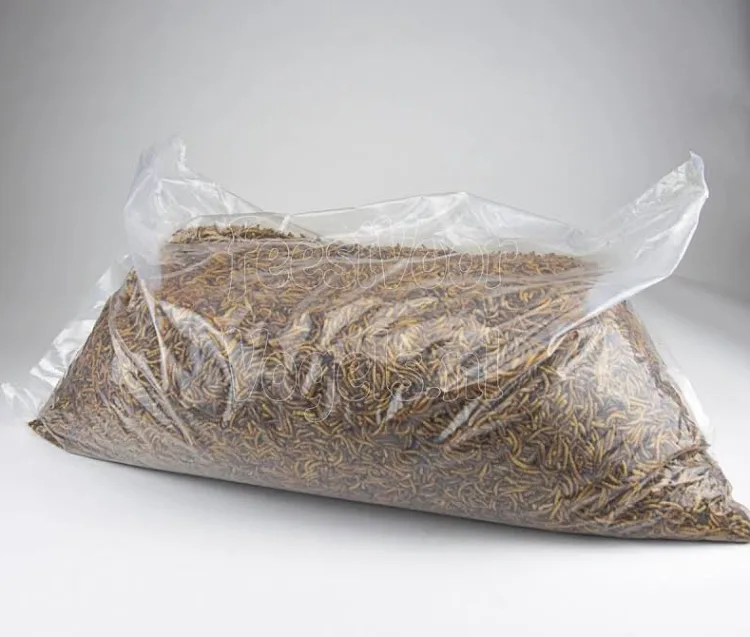 Dried Mealworms bag 5kg - Bild 5