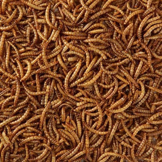 Dried Mealworms bag 5kg - Bild 2