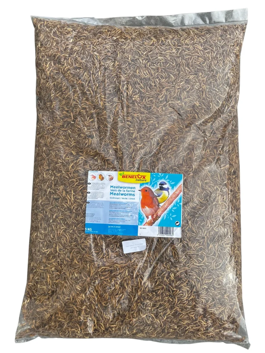 Dried Mealworms bag 5kg - Bild 4