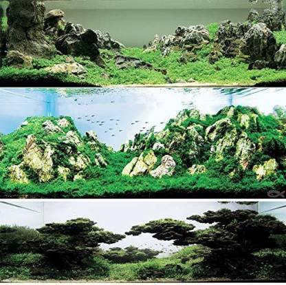 Petzlifeworld Premium Seiryu Rock – Natural River Rock for Aquascaping, Terrariums & Freshwater Aquariums - Bild 8