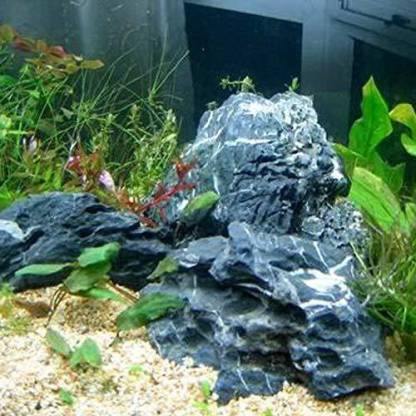 Petzlifeworld Premium Seiryu Rock – Natural River Rock for Aquascaping, Terrariums & Freshwater Aquariums